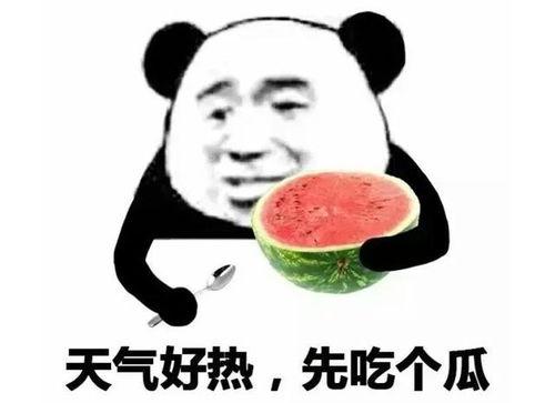 吃瓜表情应该怎么回复